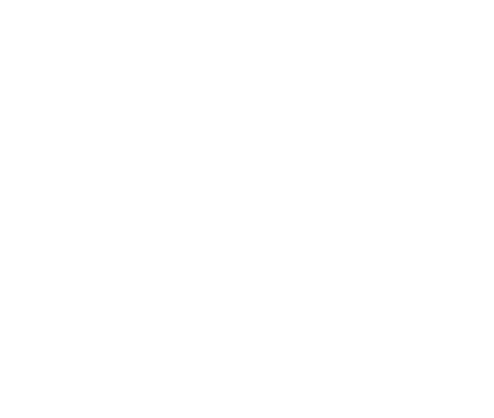 Logo Hidesins